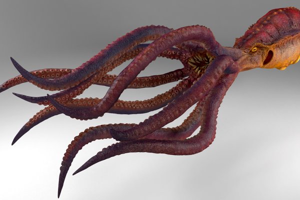 Kraken зеркало даркнет